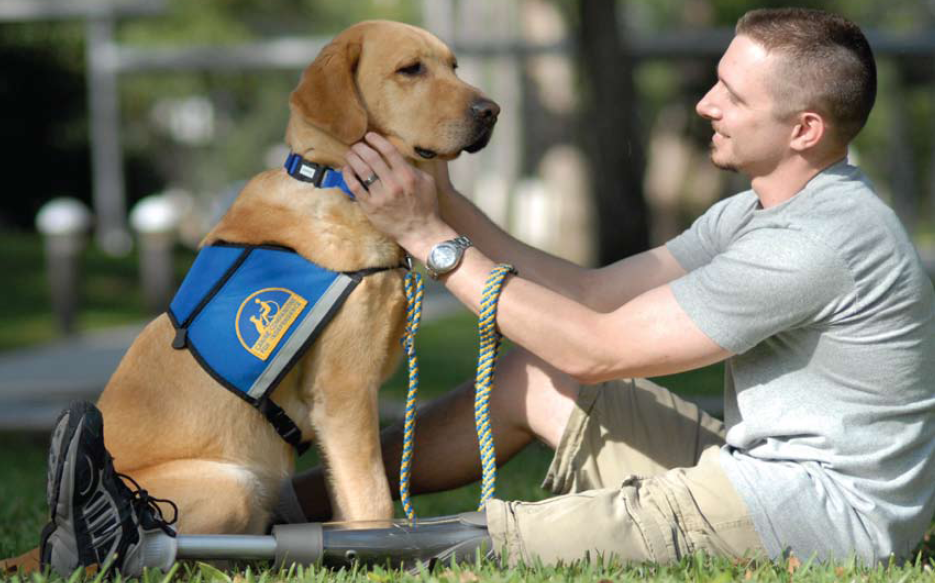 jeffrey adams and cci service dog sharif