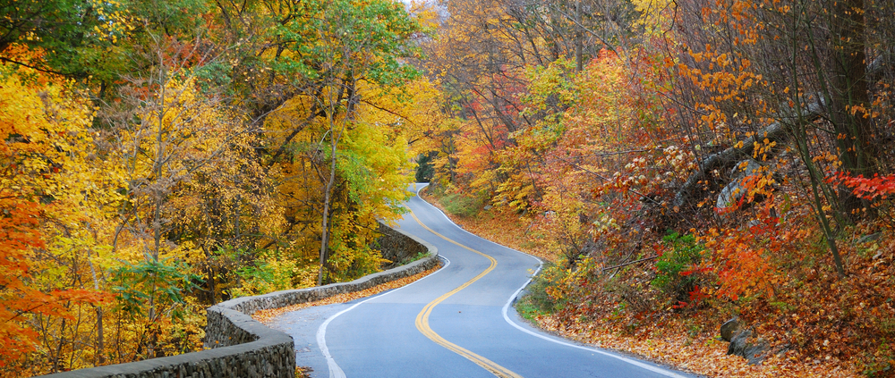 Fall Accessible Road Trip